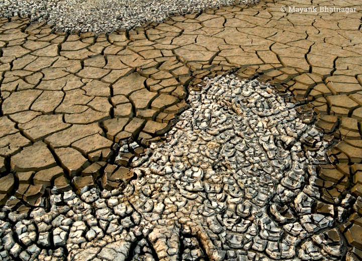 Large cracks in a muddy, stream-like shape with smaller cracks on dry, white saline ground above and below