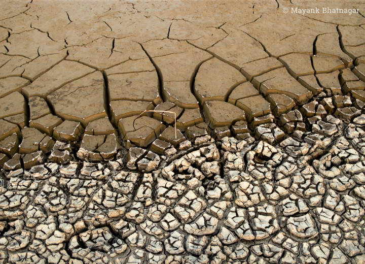 Many small, deep cracks on dry white saline ground merging with large cracks in the mud above