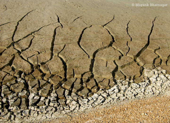 Large cracks in mud merging with smaller, thick flakes on dry ground below them
