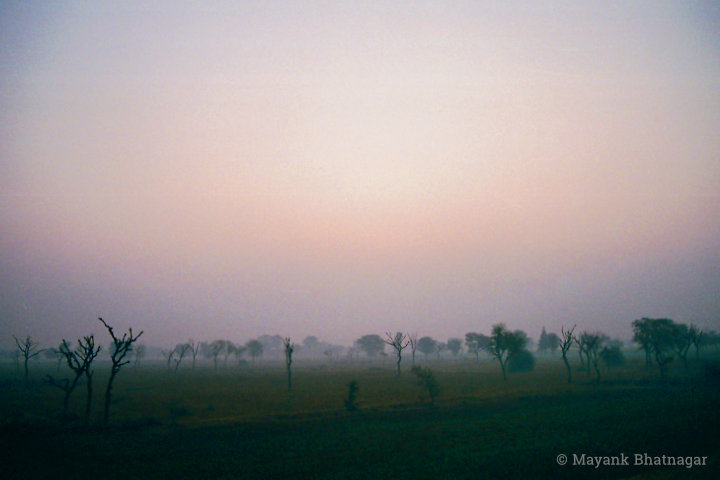 Landscape featuring a serene pink sky above sleepy green fields with trees