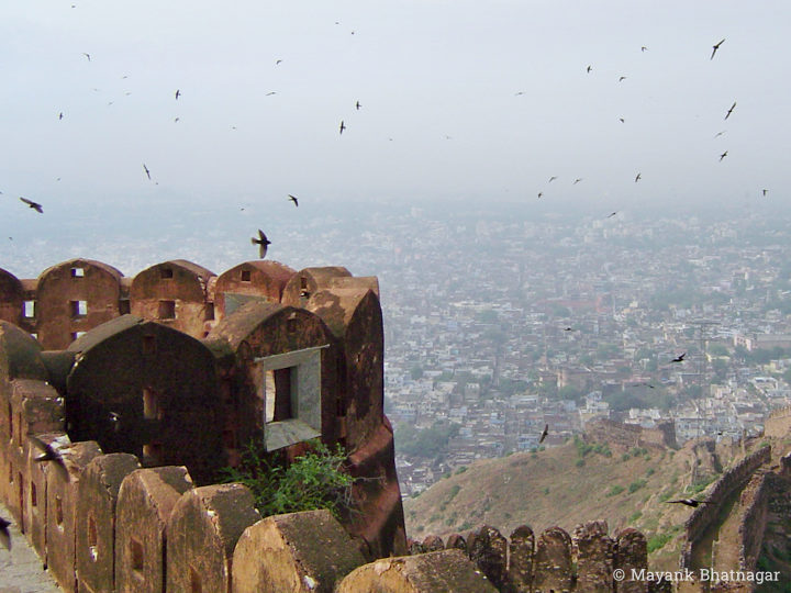 Many birds flying over old fort walls with the city faintly visible in the background