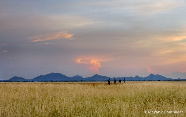 Four human silhouettes on a grassland with hills and lit up clouds in the background
