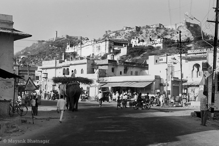 Street photo showing people and an elephant heading towards Amer and Jaigarh forts in the background