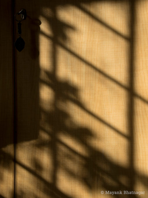 Shadows of a grilled window and a creeper falling on the textured surface of a door