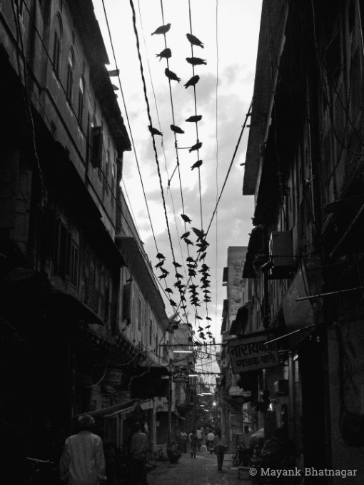 Birds sitting on overhead wires in a dark, narrow lane with old buildings on both sides