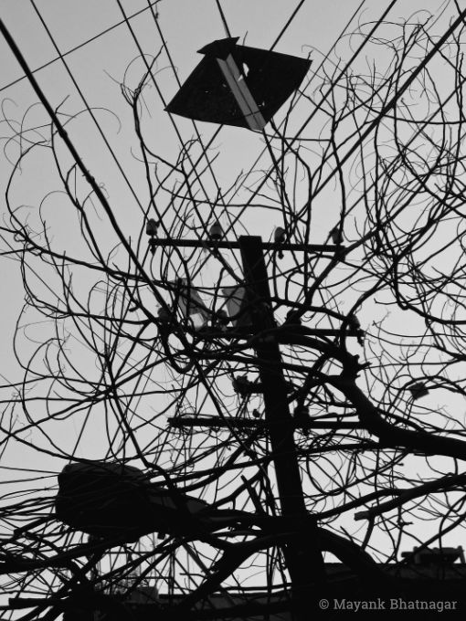 Combined silhouettes of an electricity pole, overhead wires, a street lamp, a kite and a leafless tree
