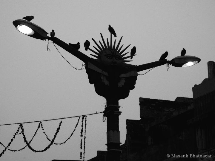 Silhouette of pigeons sitting on street lights incorporating traditional Jaipur architecture