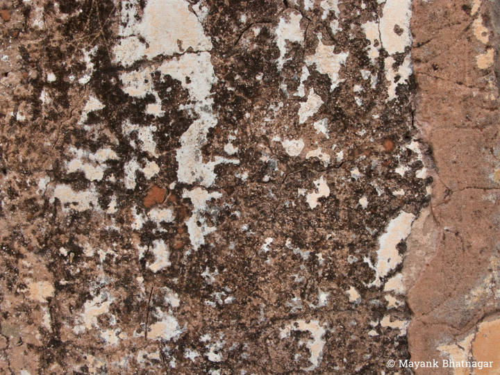 Closeup of an old, heavily textured, brownish wall with cracks and remnants of white plaster on it