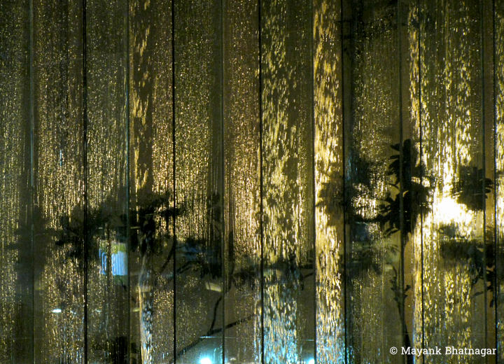 Abstract photograph of back-lit, flowing water and shadows of plants on large glass windows