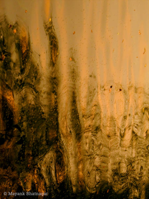 Vertical composition of water in dominant golden yellow colour, resembling an abstract oil painting