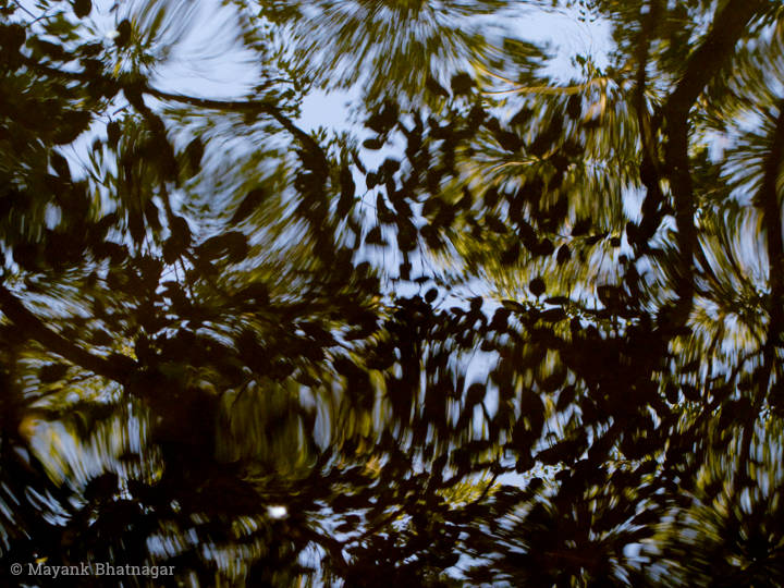 Reflections on water in black, yellow-green and sky blue colours, resembling an oil painting