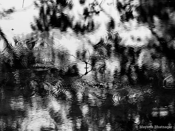 Artistic black and white photograph of water, taken at a lake in a national park in India