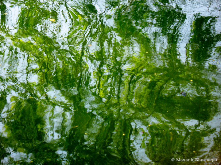 Watercolour-like abstract photograph of water, in dominant leaf green and sky blue colours