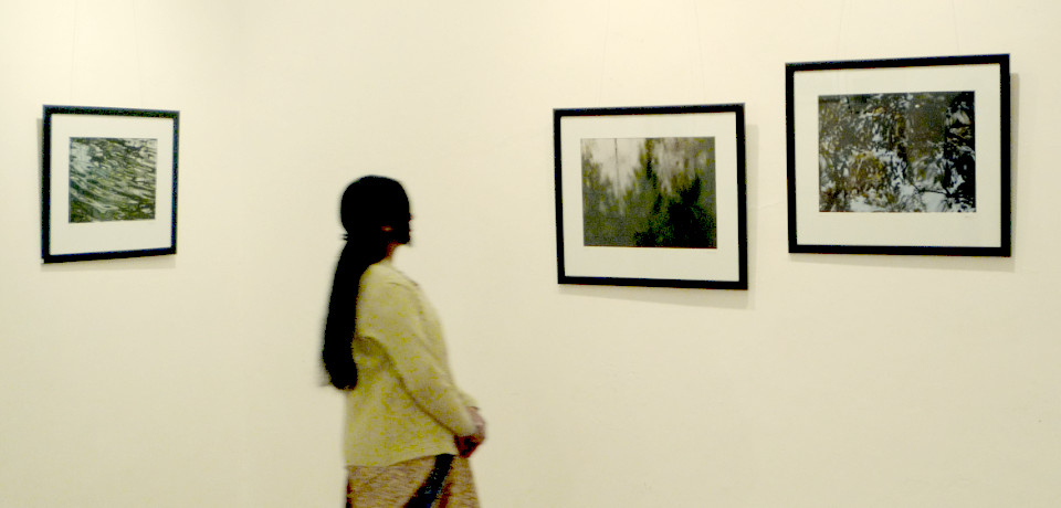 A lady looking at framed photographs from the 'Water' series displayed in an art gallery