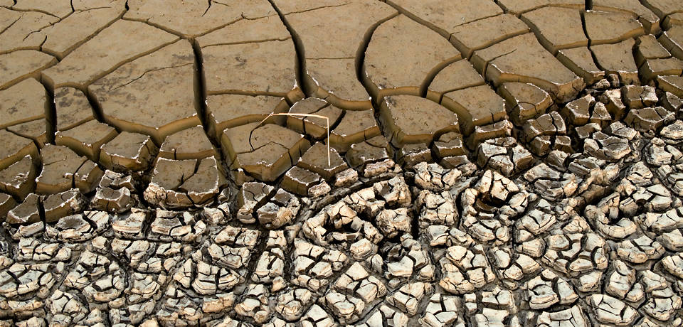 Cracks on white, dry saline ground merging with larger cracks in the mud above, on the bed of a lake