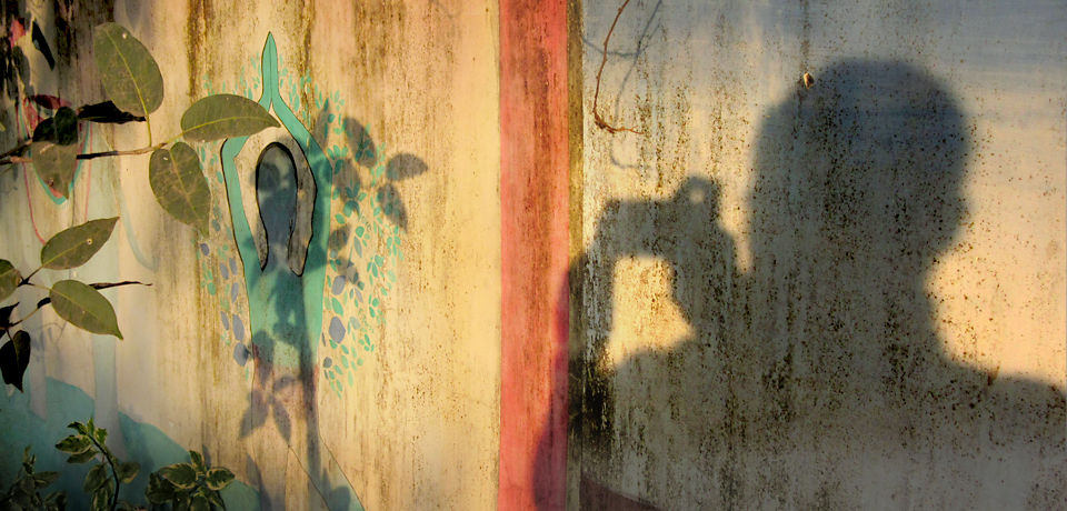 Photographer's shadow (with a camera) on a painted wall with some leaves on the side